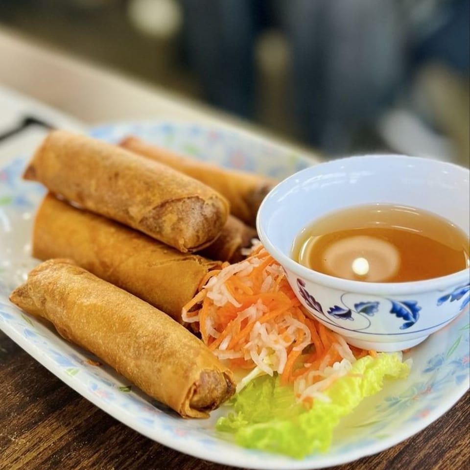Crispy golden spring rolls with shredded carrots, lettuce, and dipping sauce on a patterned plate.